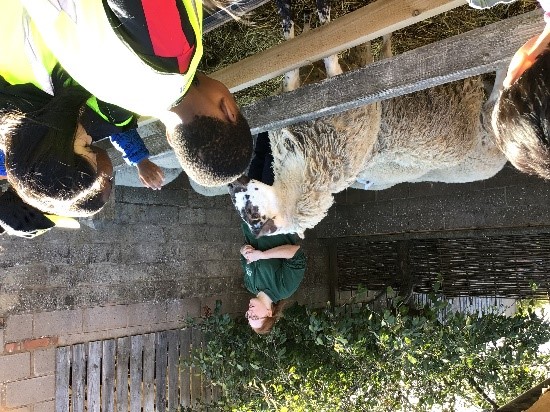 farm 2