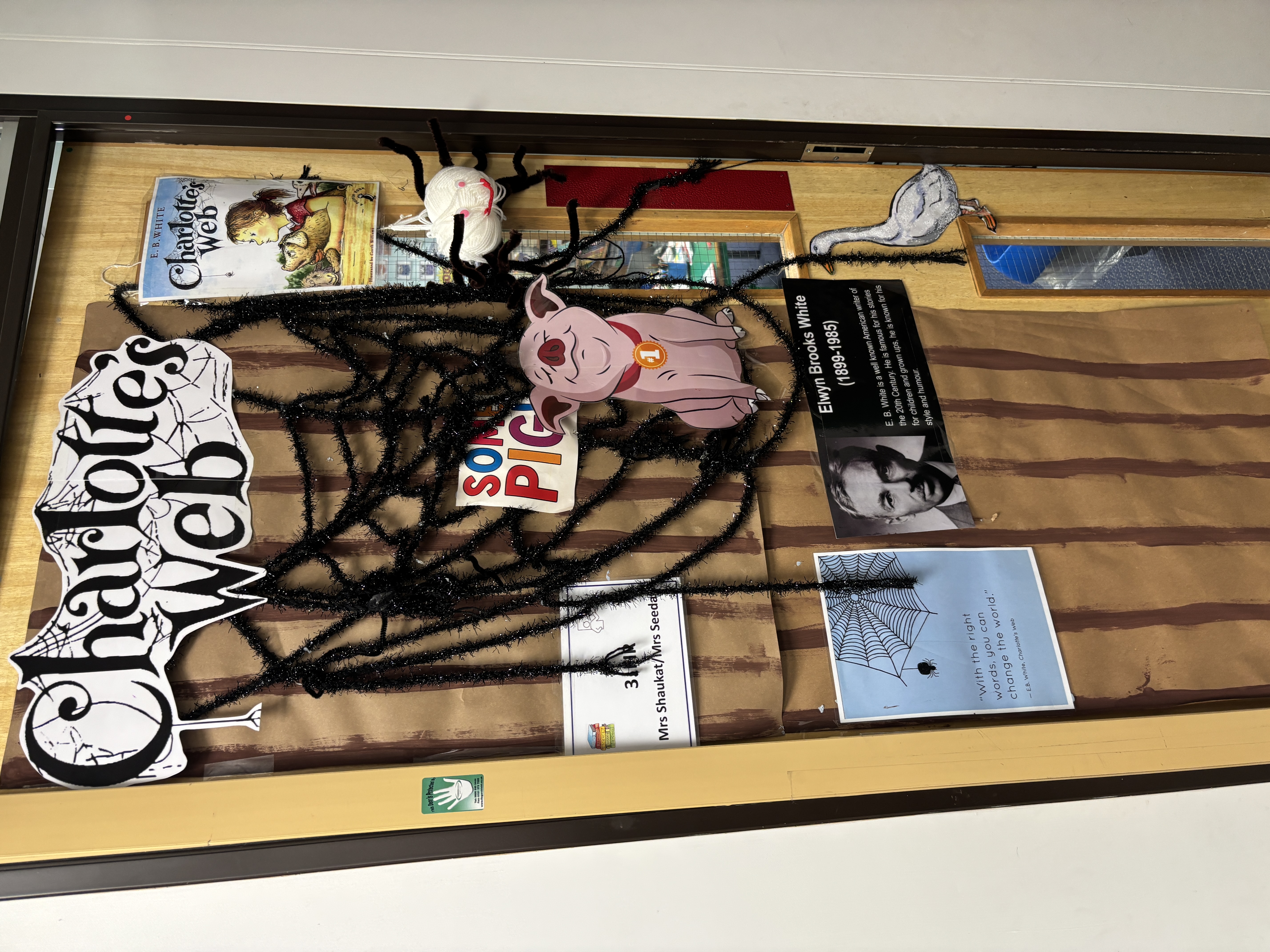 20260305_110516165_iOS