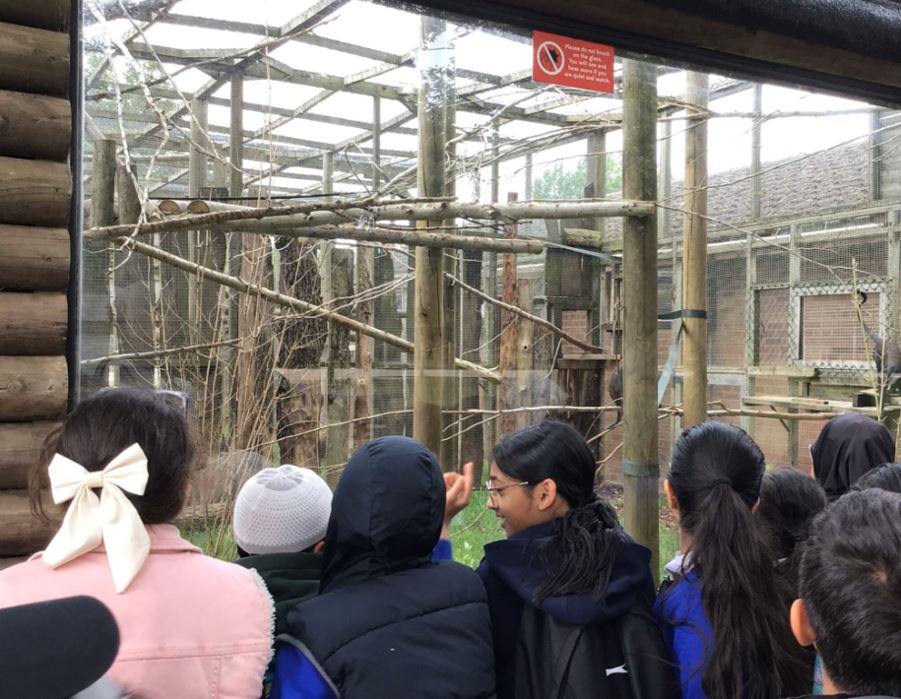 Zoo 1