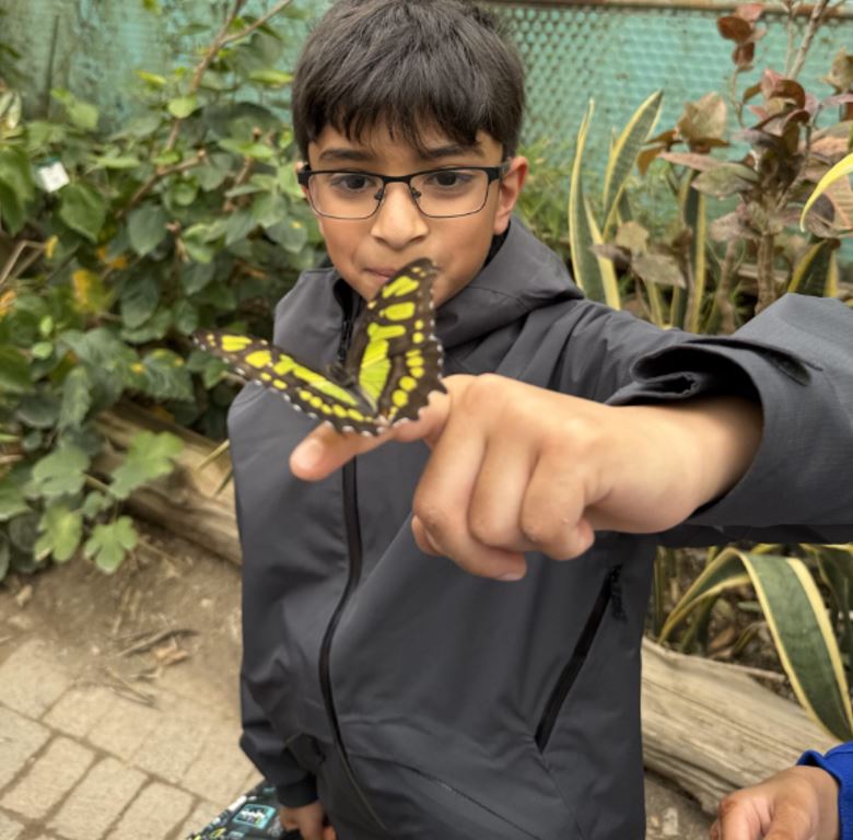 zoo 3