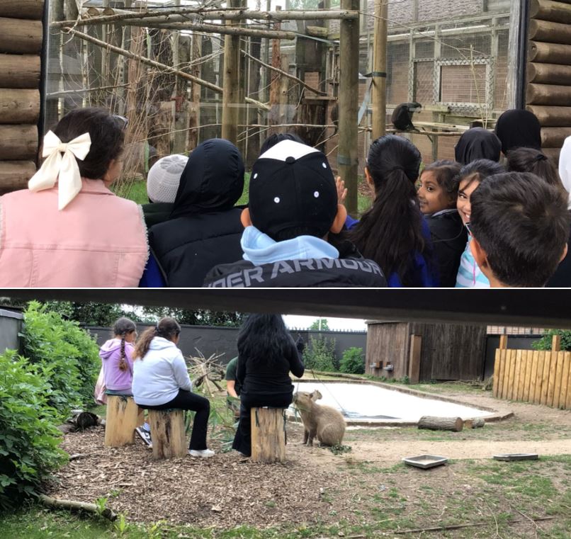 zoo 5