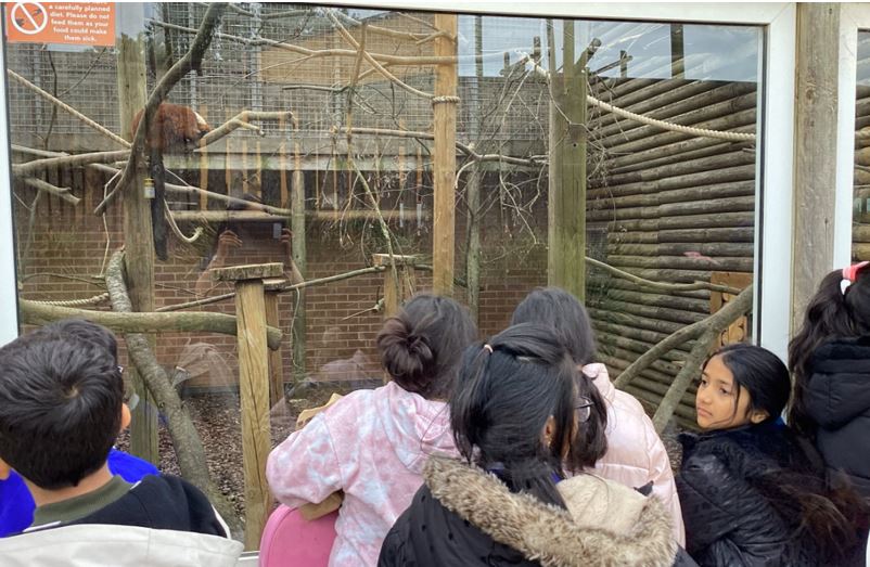 zoo 8